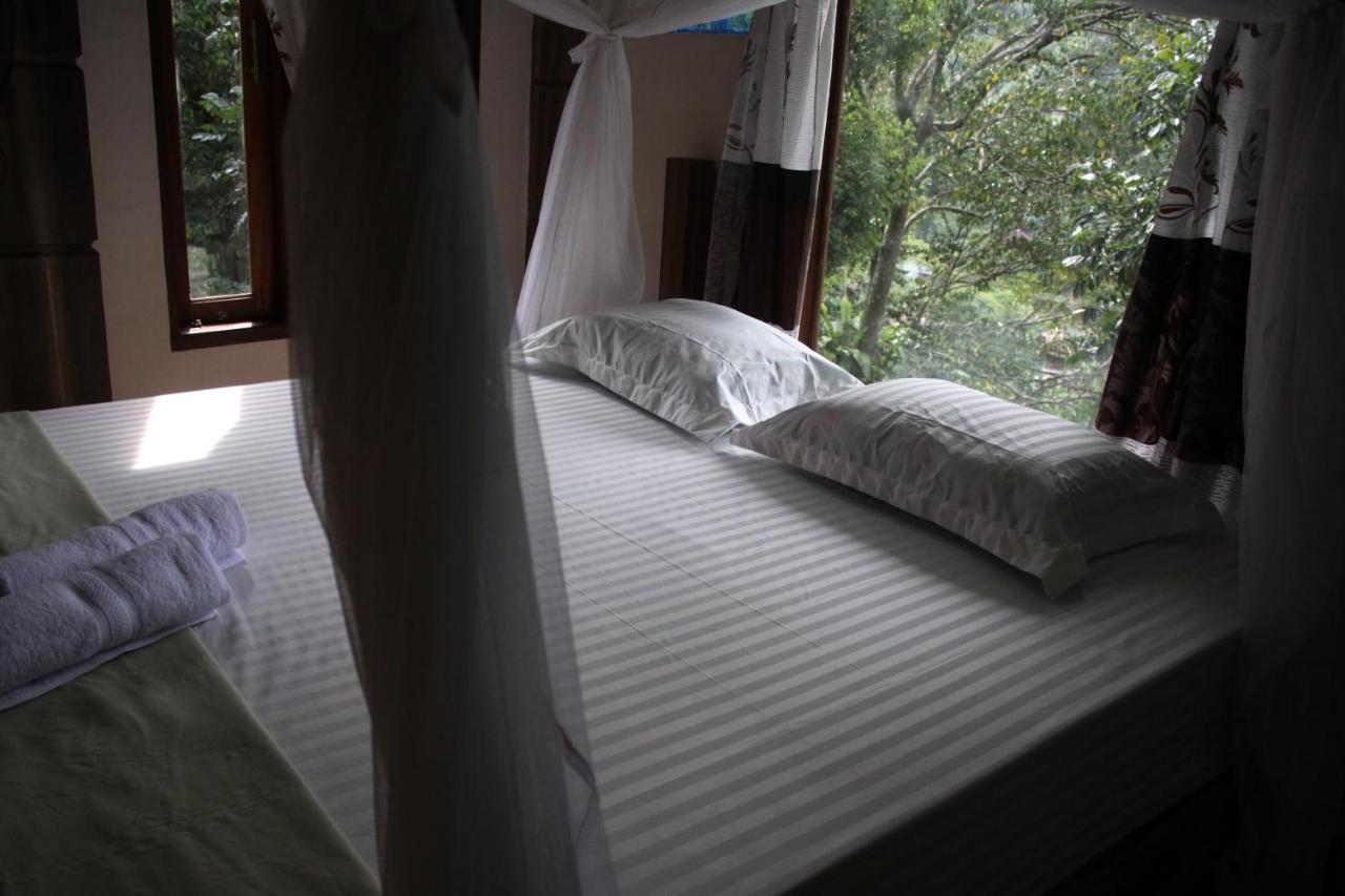 On The Rocks Bungalows, Restaurant And Jungle Trekking Tours Lodge *