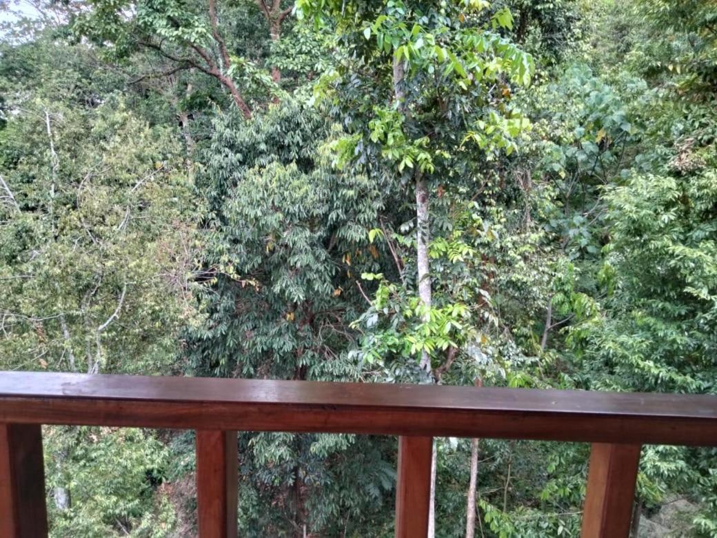 On The Rocks Bungalows, Restaurant And Jungle Trekking Tours * Bukit Lawang