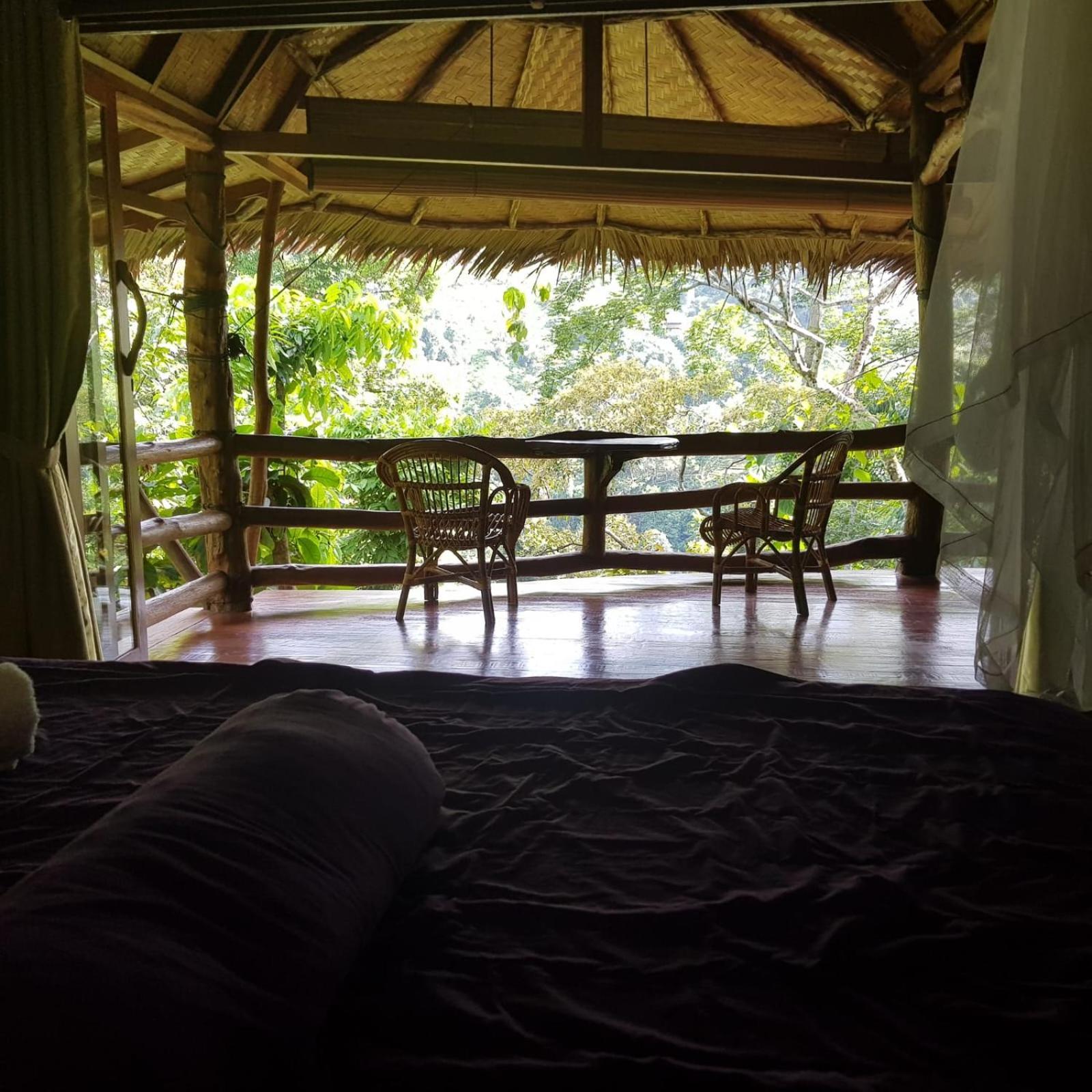 On The Rocks Bungalows, Restaurant And Jungle Trekking Tours * Bukit Lawang