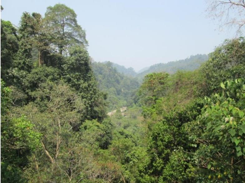 On The Rocks Bungalows, Restaurant And Jungle Trekking Tours *