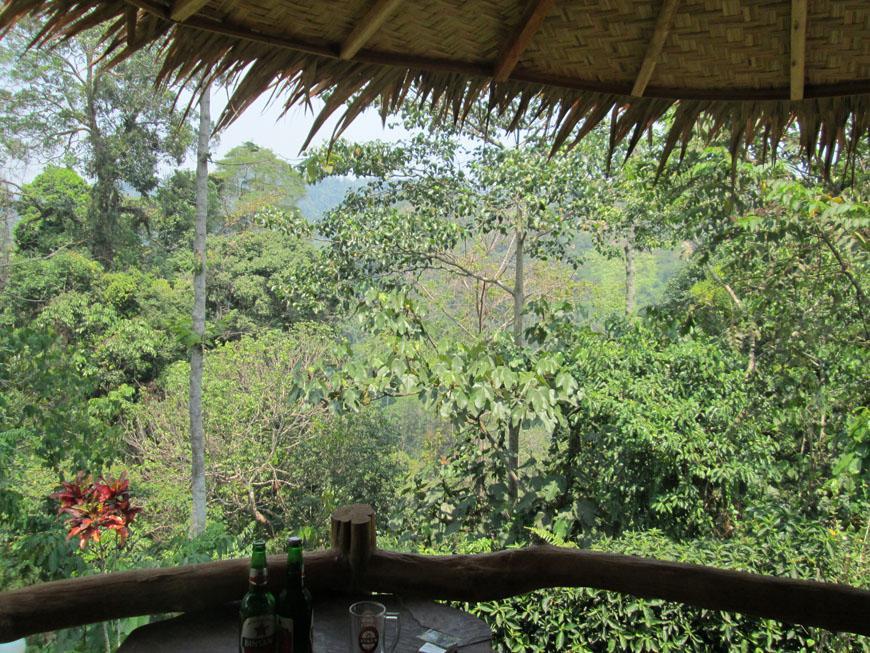 On The Rocks Bungalows, Restaurant And Jungle Trekking Tours Lodge Bukit Lawang