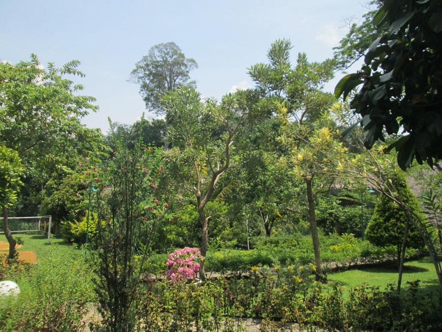On The Rocks Bungalows, Restaurant And Jungle Trekking Tours Lodge Bukit Lawang