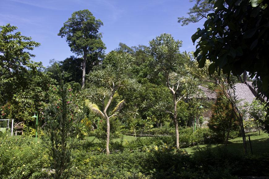 On The Rocks Bungalows, Restaurant And Jungle Trekking Tours * Bukit Lawang