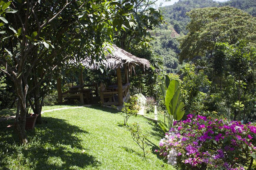On The Rocks Bungalows, Restaurant And Jungle Trekking Tours * Bukit Lawang
