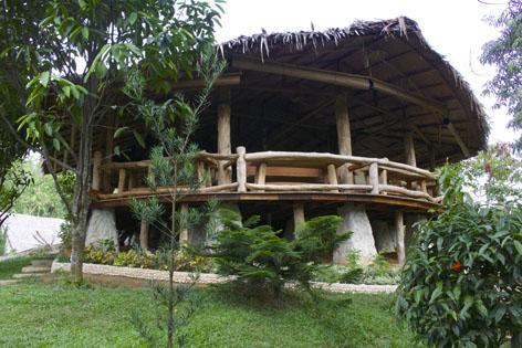 On The Rocks Bungalows, Restaurant And Jungle Trekking Tours * Bukit Lawang